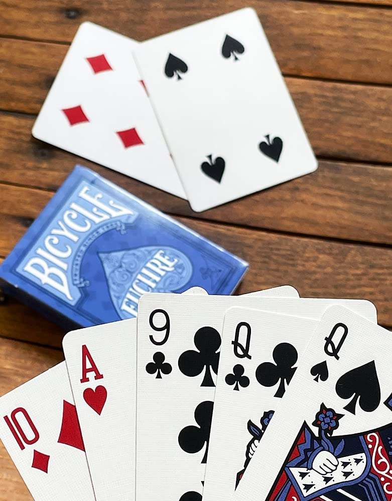 1022-bicycle-euchre-2-pre-sorted-playing-card-decks-in-1-1.jpg