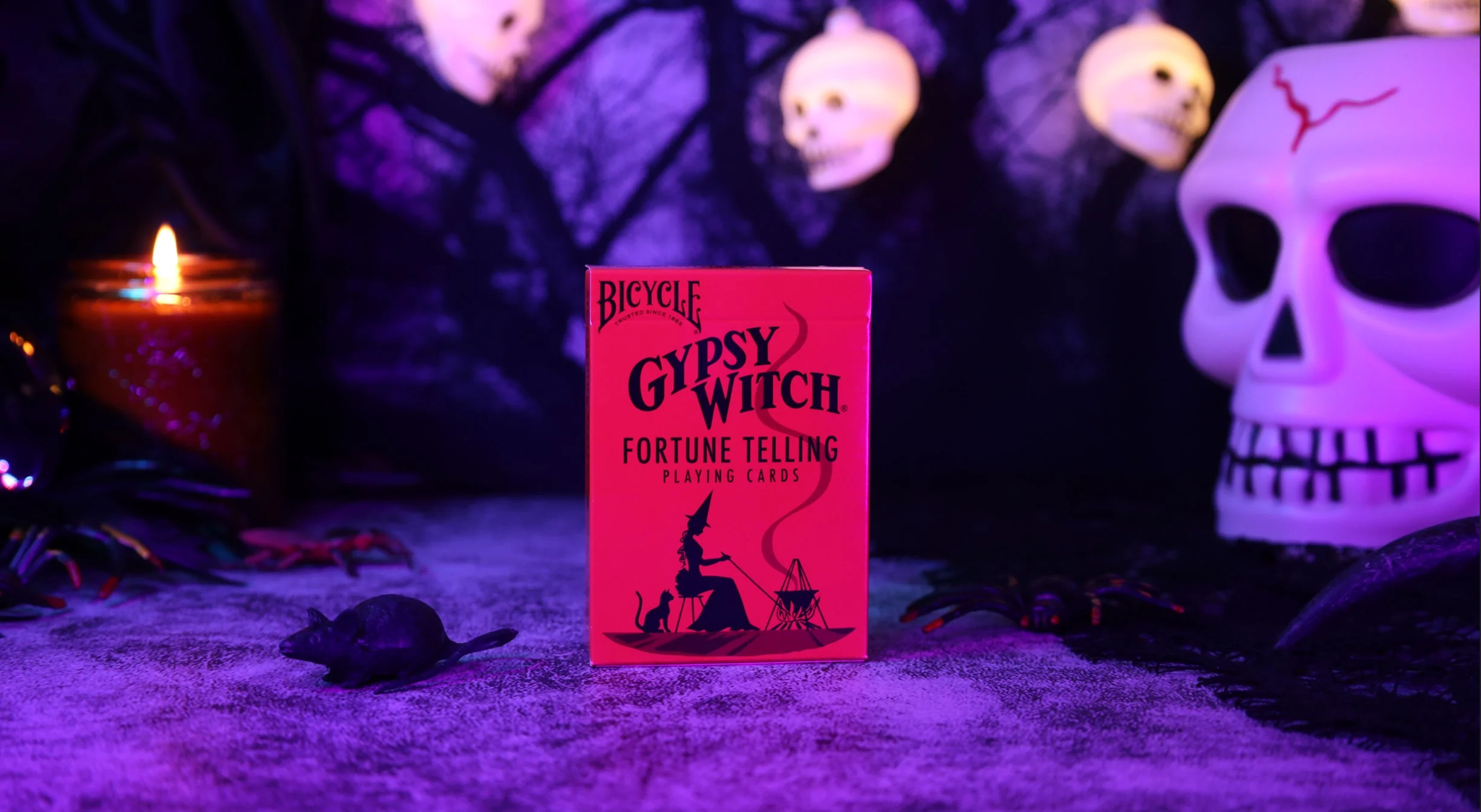 1037-bicycle-gypsy-witch-fortune-telling-playing-cards-1.webp