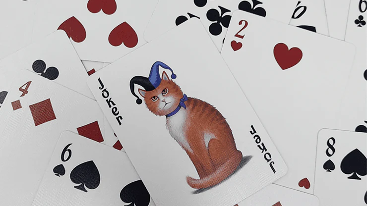 1059-bicycle-poker-cats-playing-cards-limited-edition-1.webp