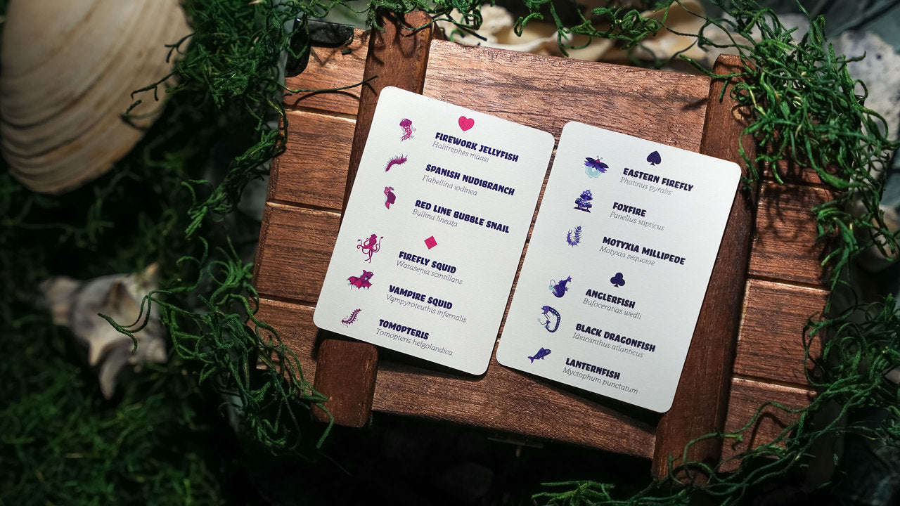 1105-bioluminescent-playing-cards-1.jpg