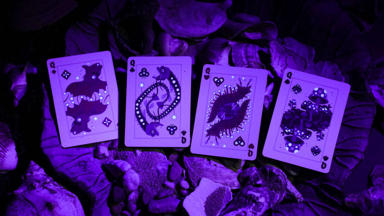 1105-bioluminescent-playing-cards-1.jpg