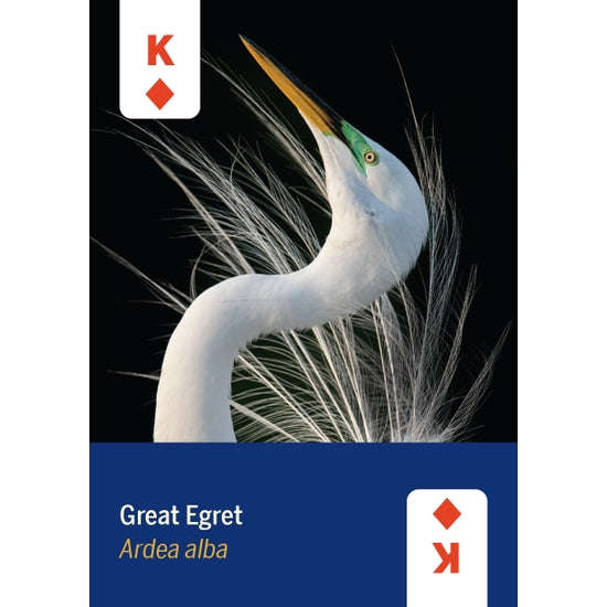 1108-birds-of-north-america-playing-cards-1.jpg