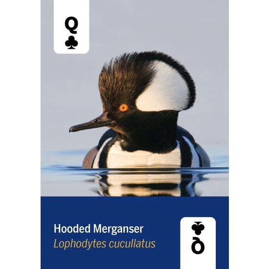 1108-birds-of-north-america-playing-cards-1.jpg