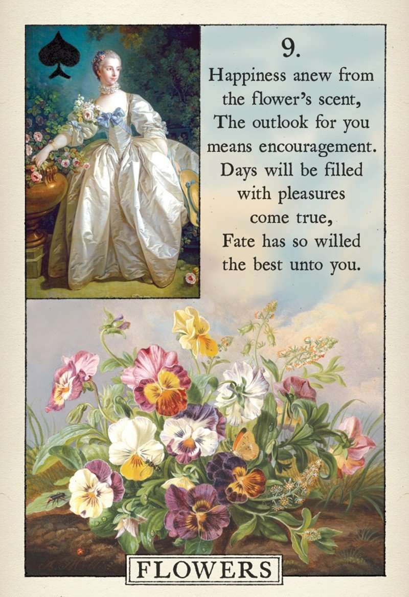 1222-blue-bird-lenormand-fortune-telling-cards-usgs-1.jpg