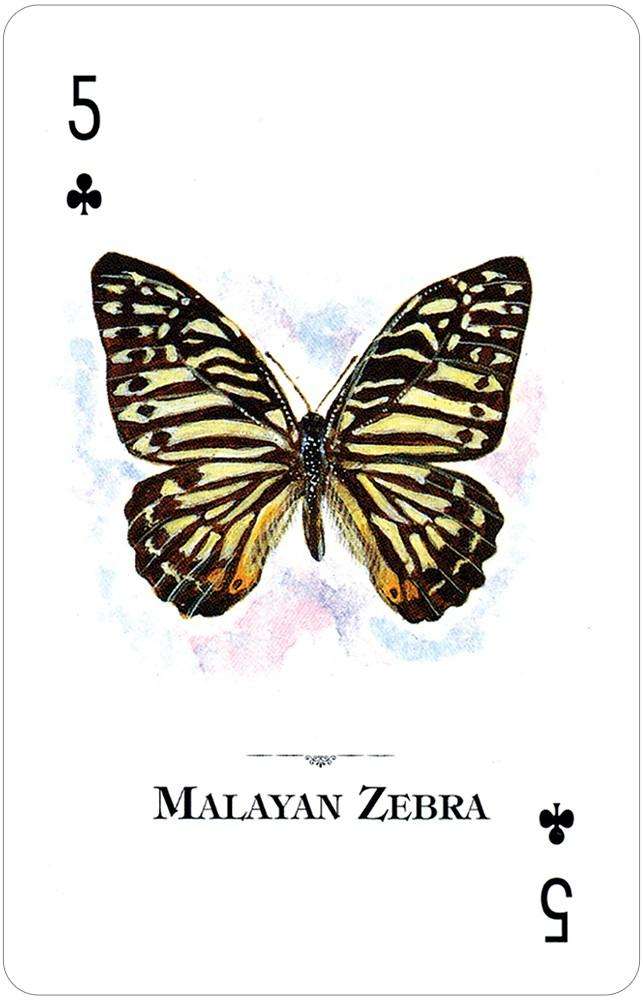 1340-butterflies-of-the-natural-world-playing-cards-usgs-1.jpg