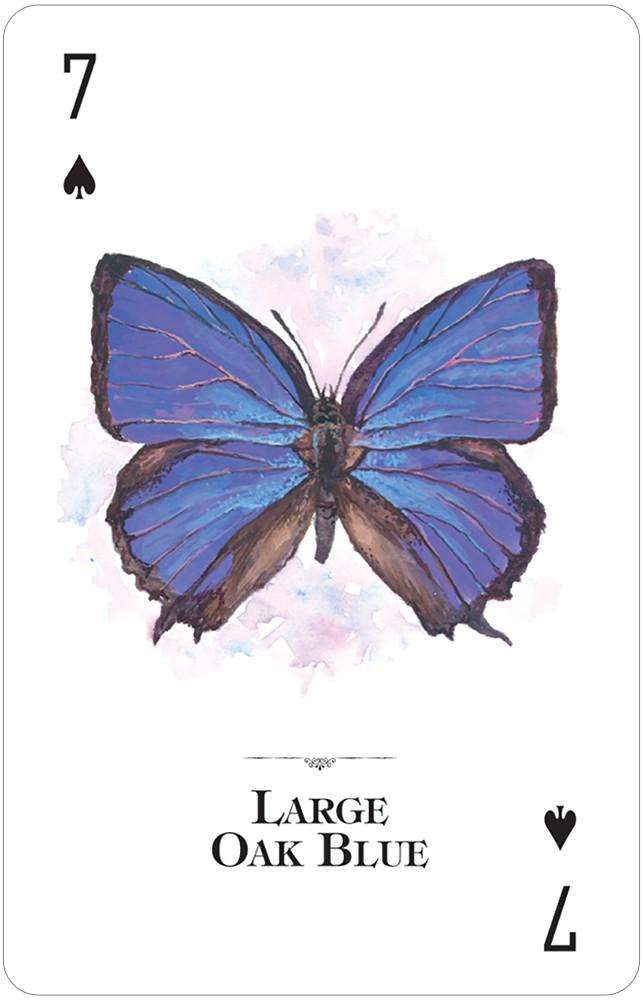 1340-butterflies-of-the-natural-world-playing-cards-usgs-1.jpg
