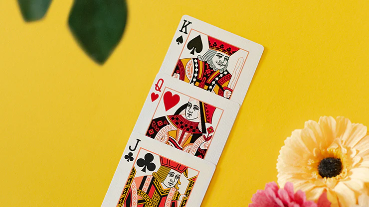 1368-butterfly-summer-marked-playing-cards-cartamundi-1.jpg