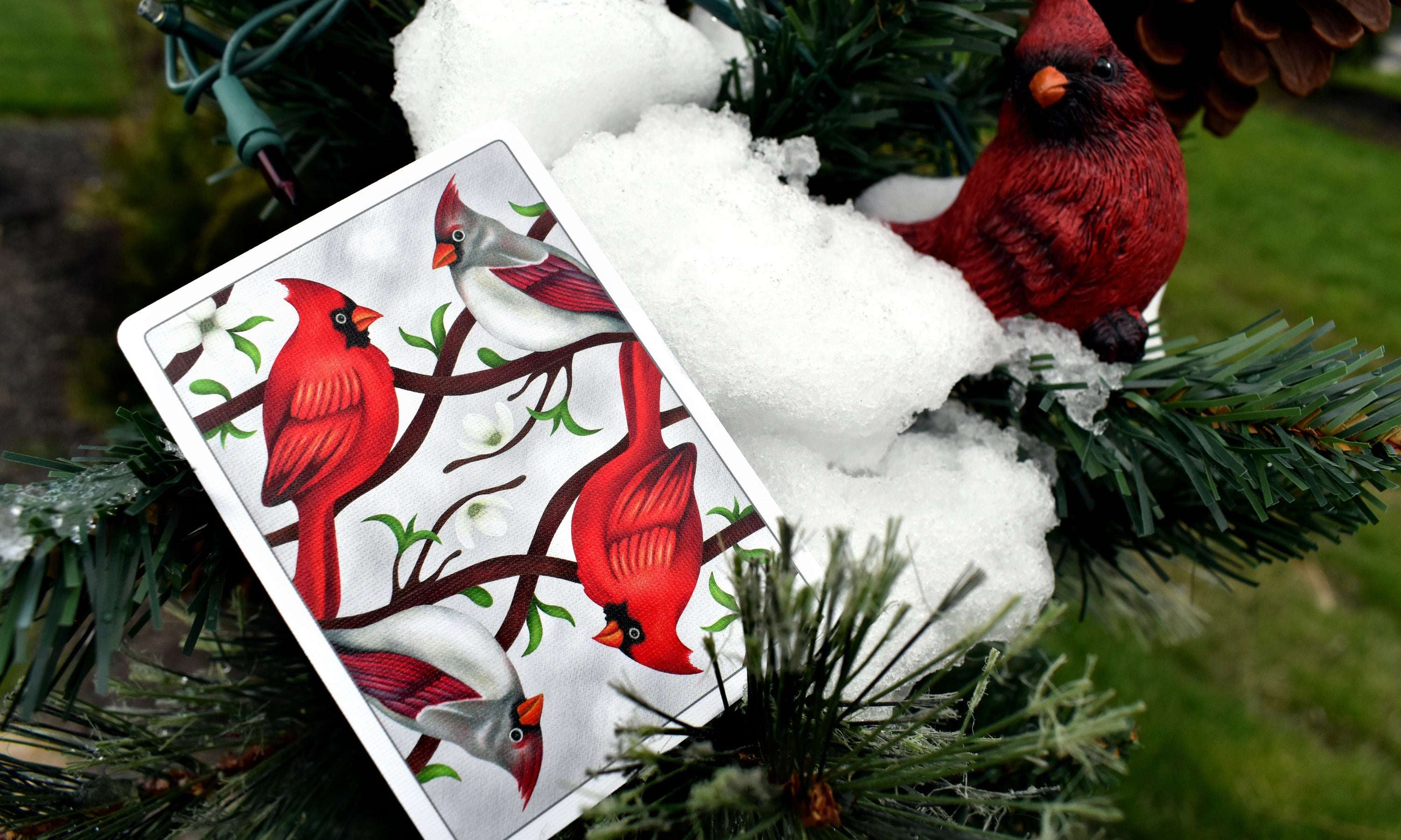 1467-cardinals-poker-playing-cards-lpcc-1.jpg