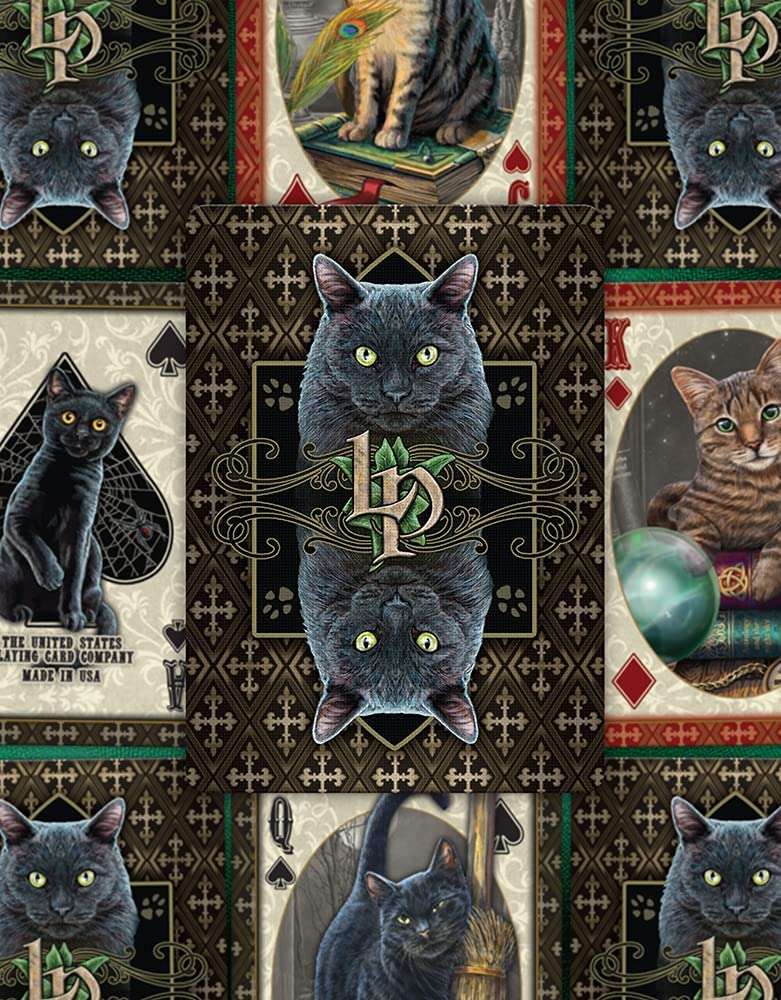 1540-cats-bicycle-playing-cards-1.jpg
