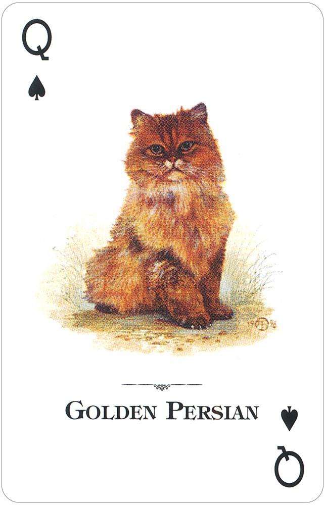 Cats of the Natural World Playing Cards USGS
