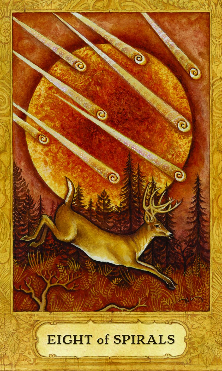 1687-chrysalis-tarot-deck-usgs-2.jpg