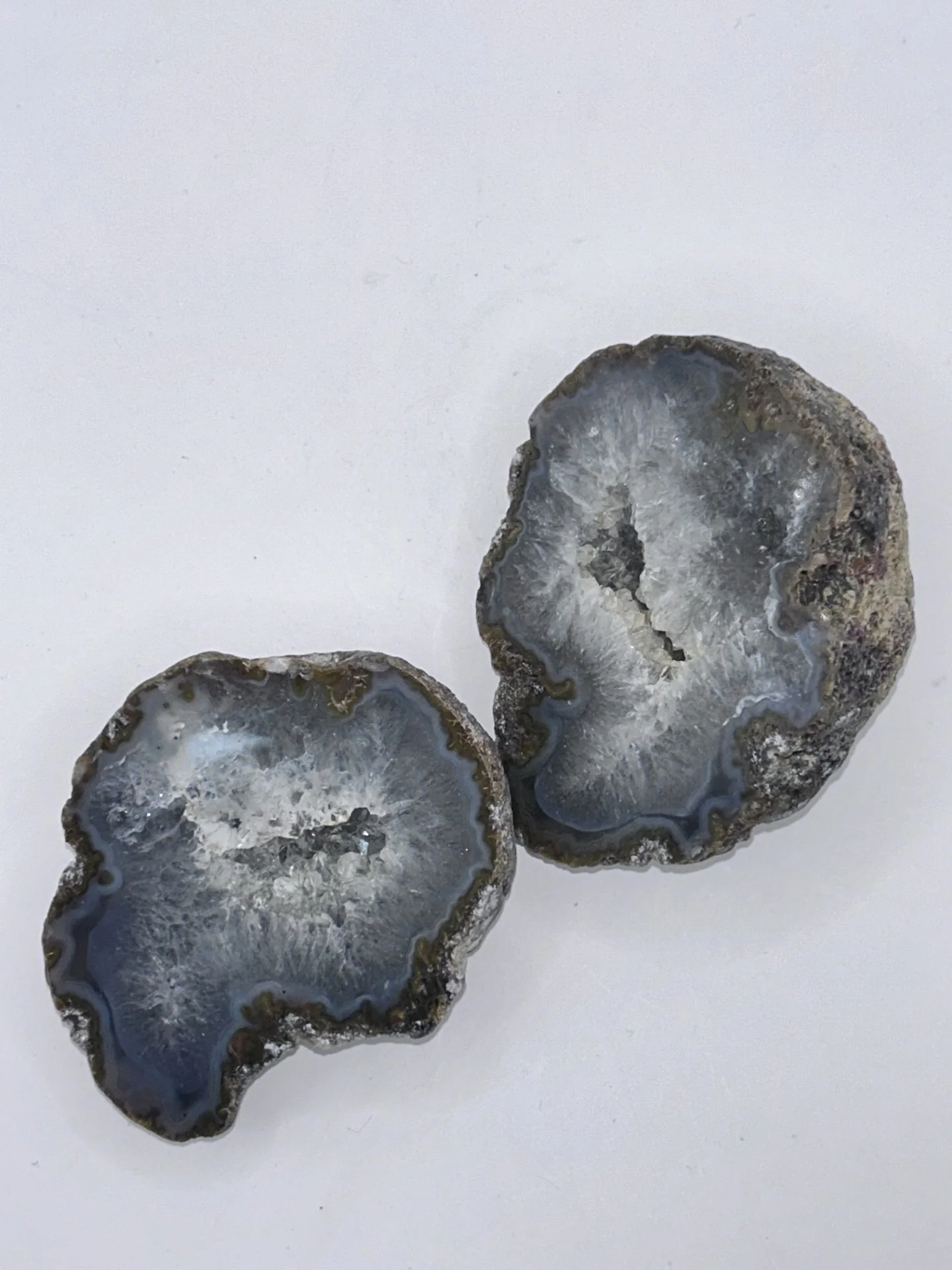 Coconut Geodes- Pair