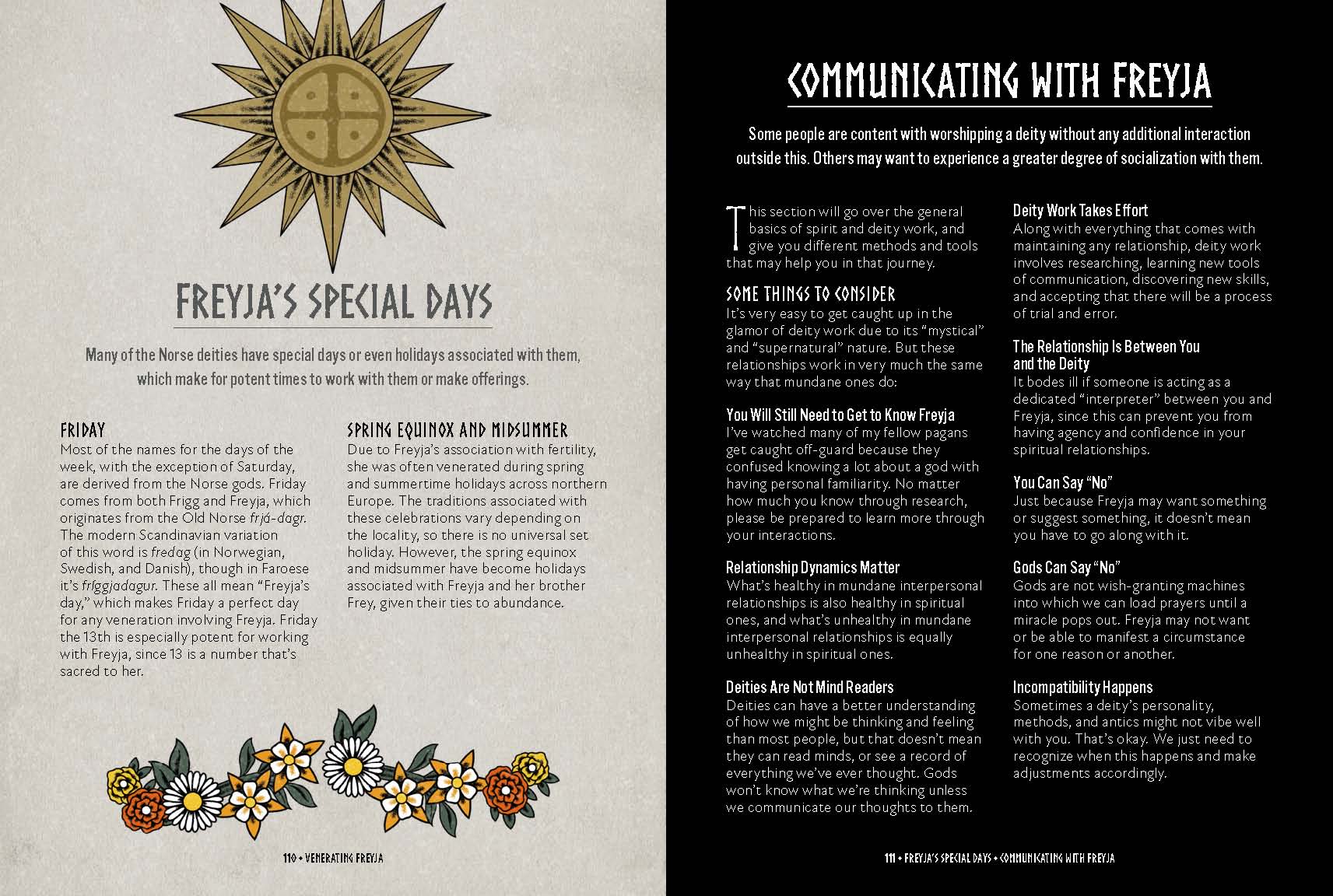 190-freyja-an-illustrated-guide-goddess-of-magic-love-war-1.webp