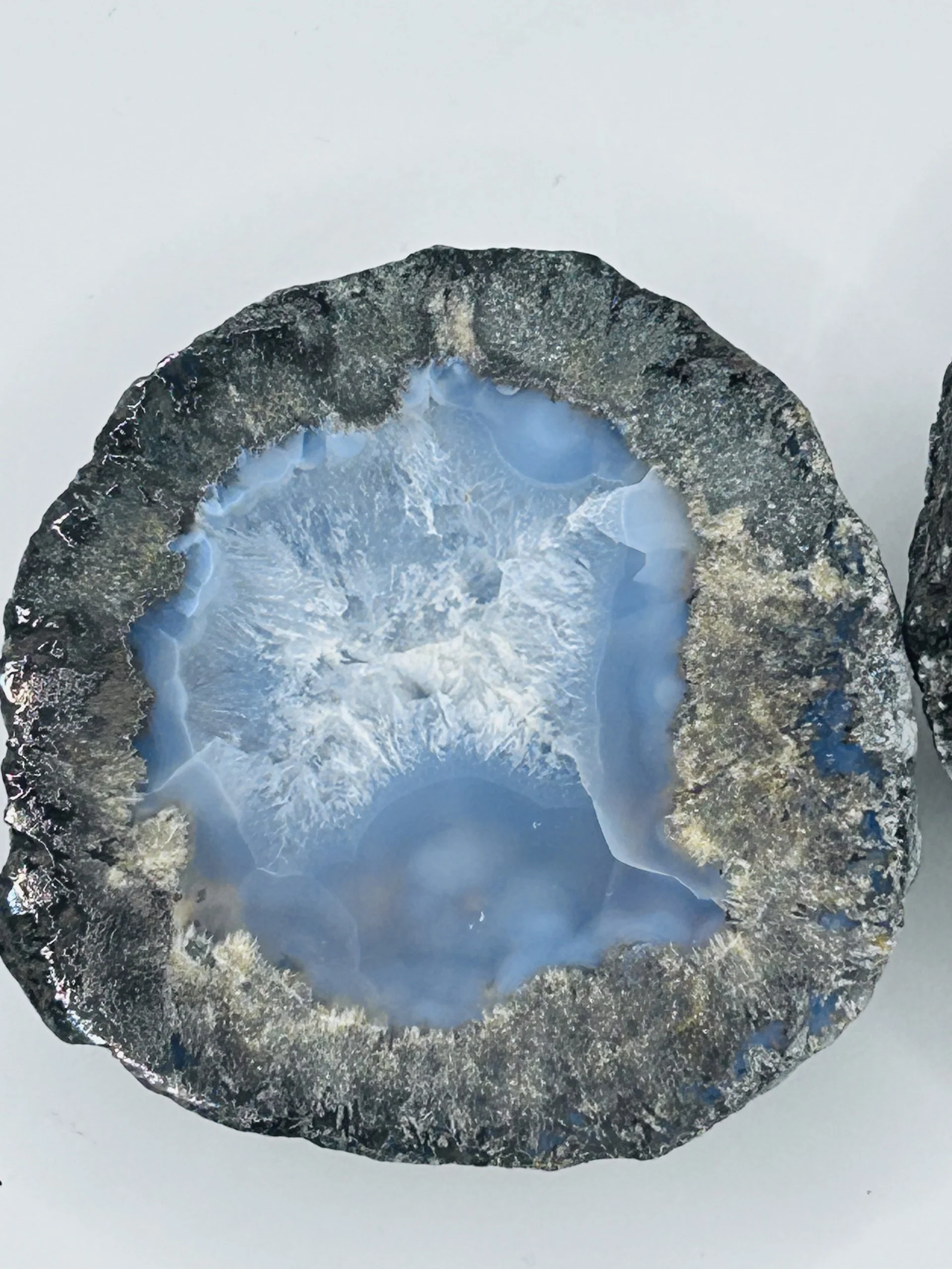 199-coconut-geodes-pair-1.webp