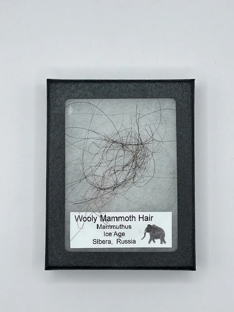 Wooly Mammoth Hair