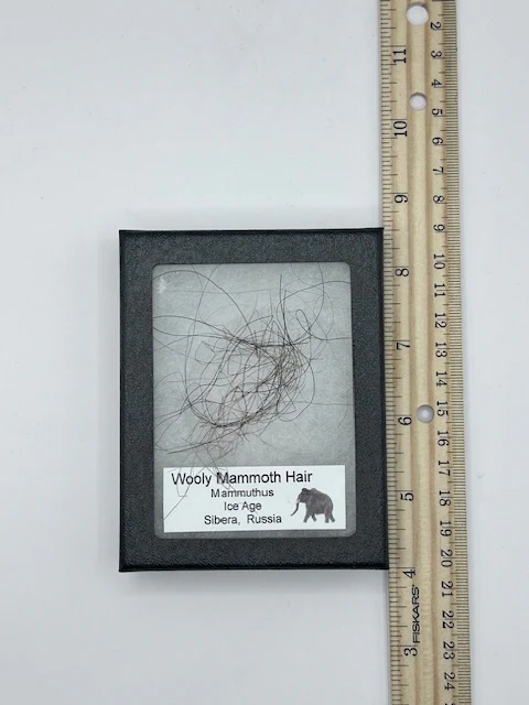 Wooly Mammoth Hair