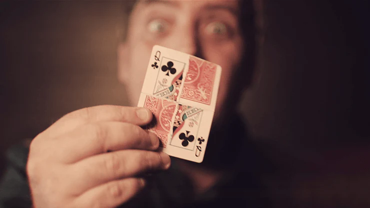 2009-d4m-card-effect-bicycle-playing-cards-1.webp