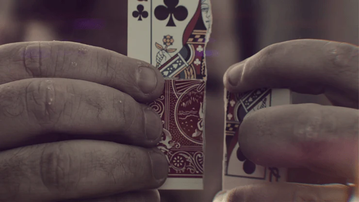 2009-d4m-card-effect-bicycle-playing-cards-1.webp