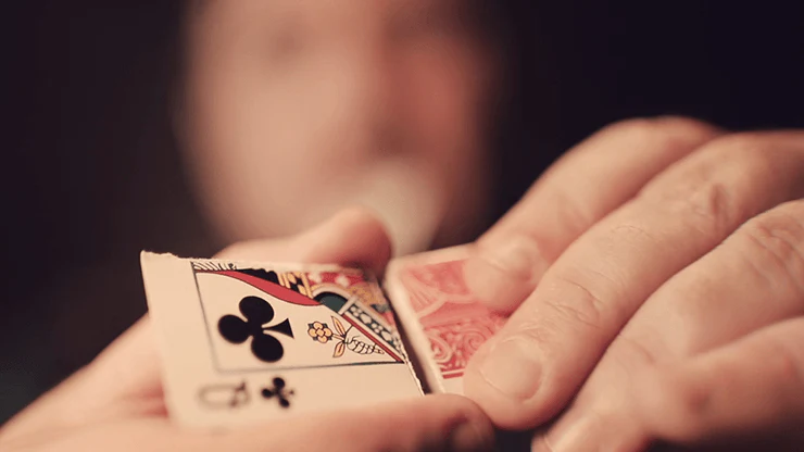 2009-d4m-card-effect-bicycle-playing-cards-1.webp