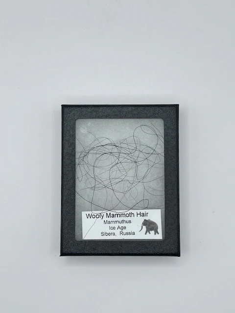 Wooly Mammoth Hair