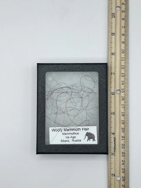 Wooly Mammoth Hair