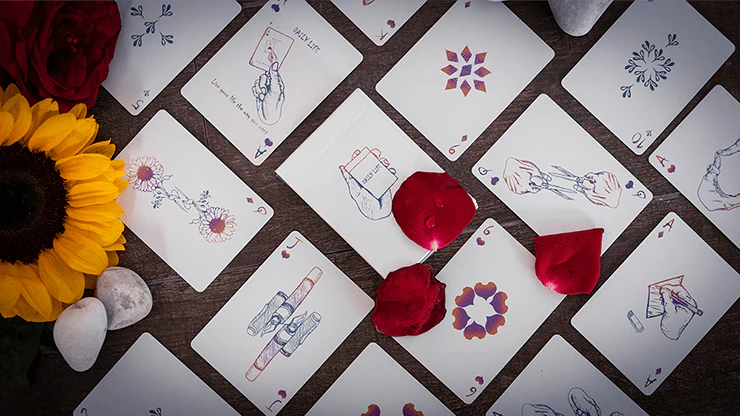 2011-daily-life-500-collector-s-edition-playing-cards-uspcc-1.jpg