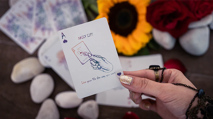 2011-daily-life-500-collector-s-edition-playing-cards-uspcc-1.jpg