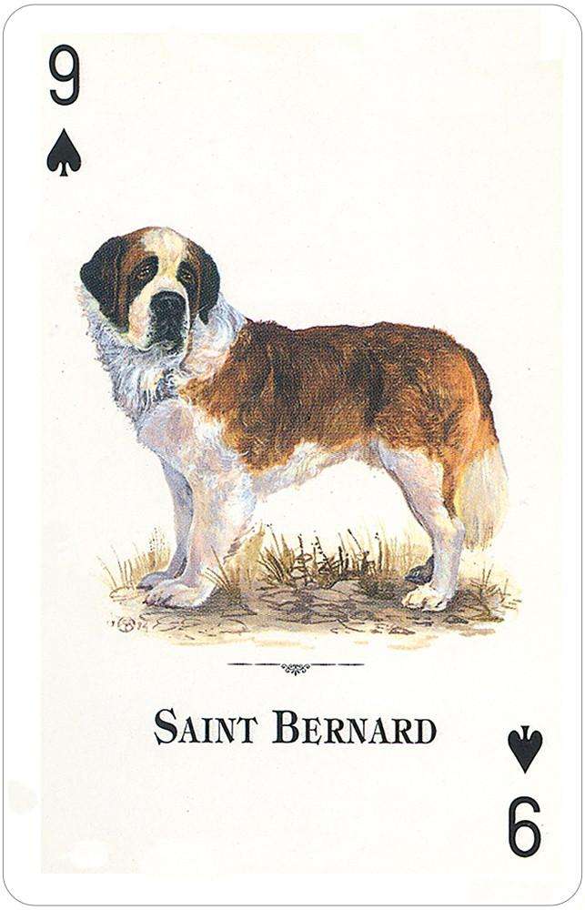 Dogs of the Natural World Playing Cards USGS