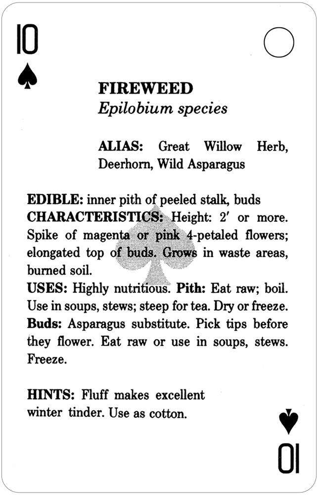 Edible Wild Foods Playing Cards USGS