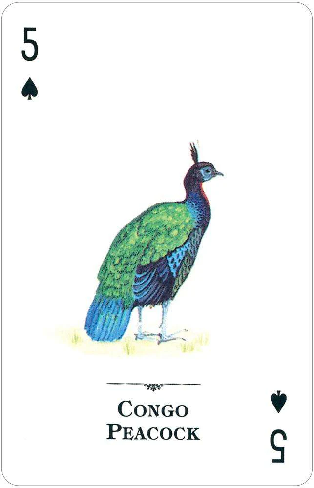 Endangered Species of the Natural World Playing Cards USGS