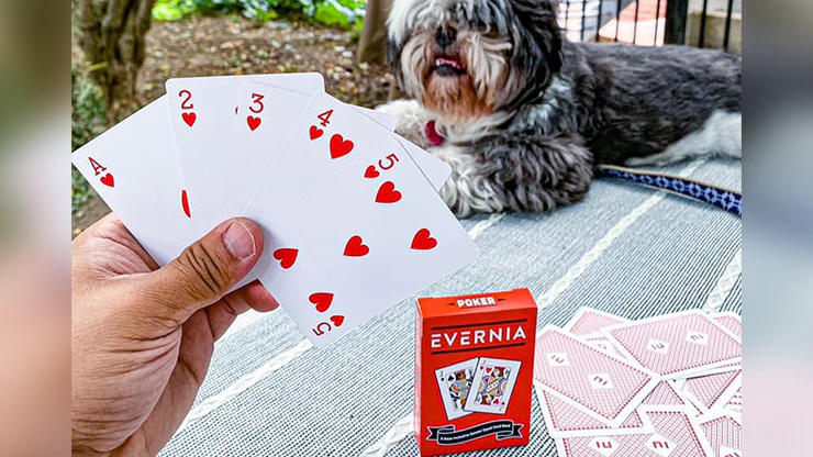 2575-evernia-playing-cards-1.jpg
