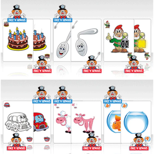 2644-fake-fast-n-genious-2-deck-set-bicycle-playing-cards-1.jpg