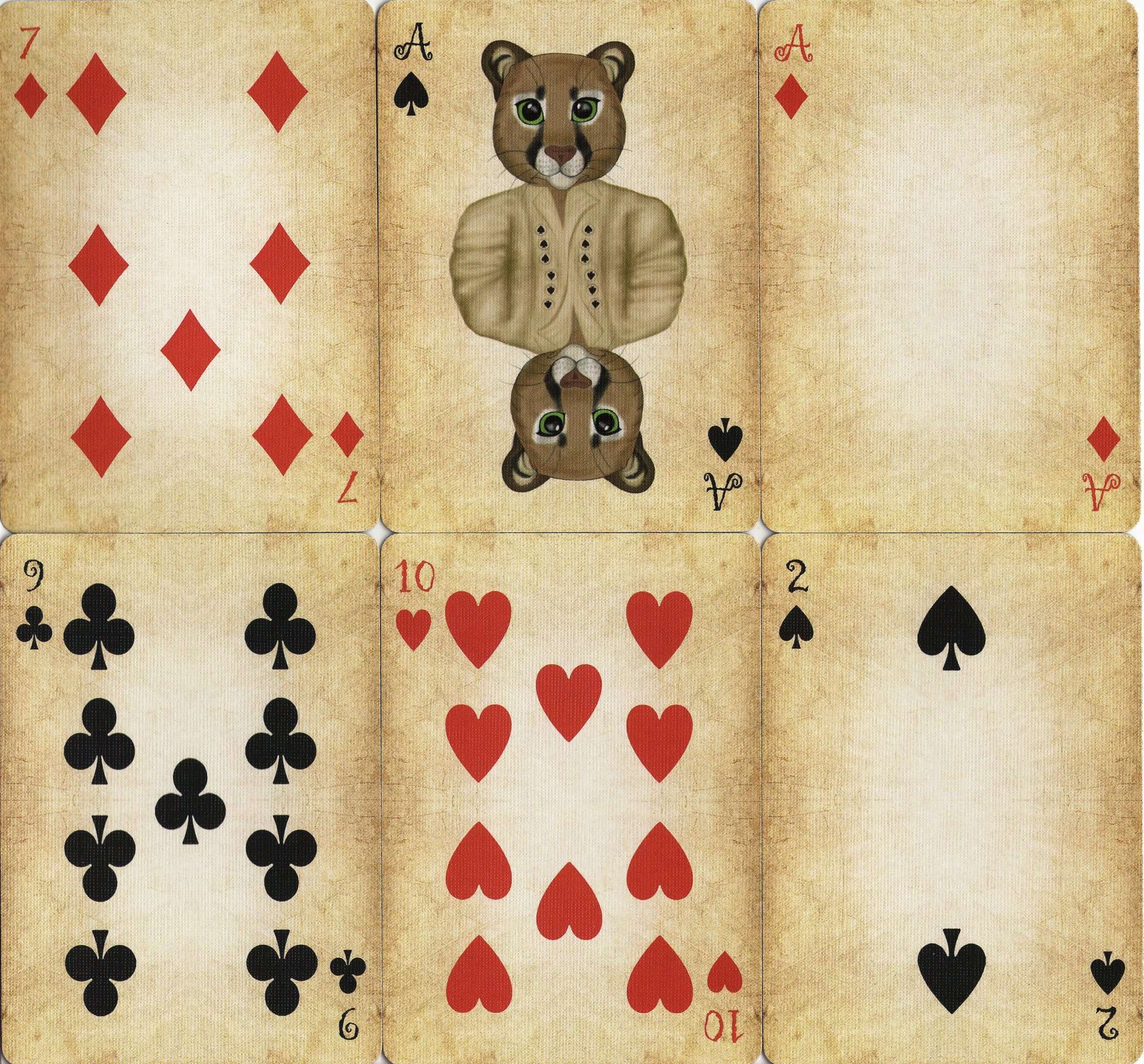 2928-friendly-felines-playing-cards-uspcc-1.jpg