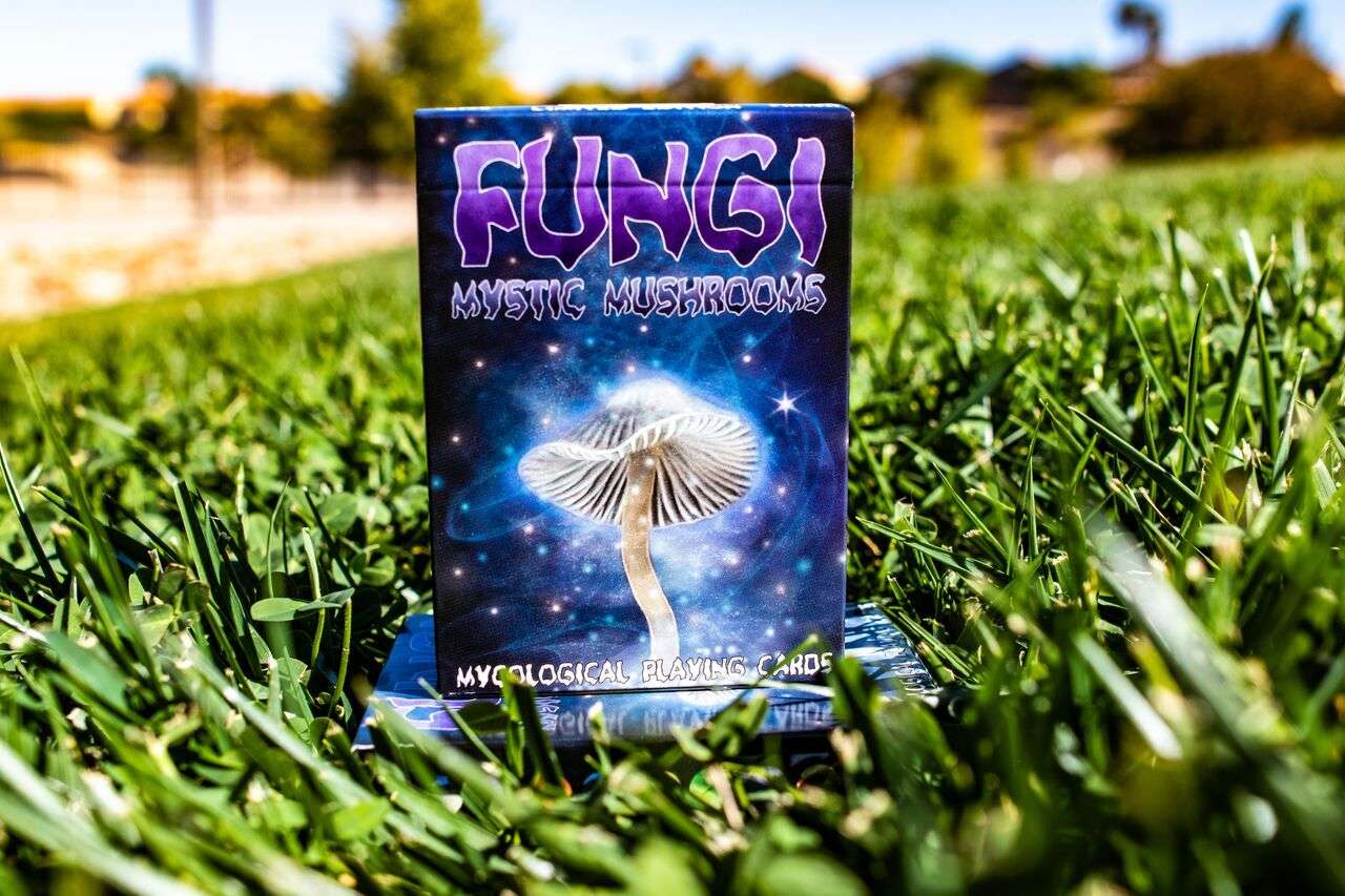 2971-fungi-mystic-mushrooms-mycological-playing-cards-uspcc-1.jpg