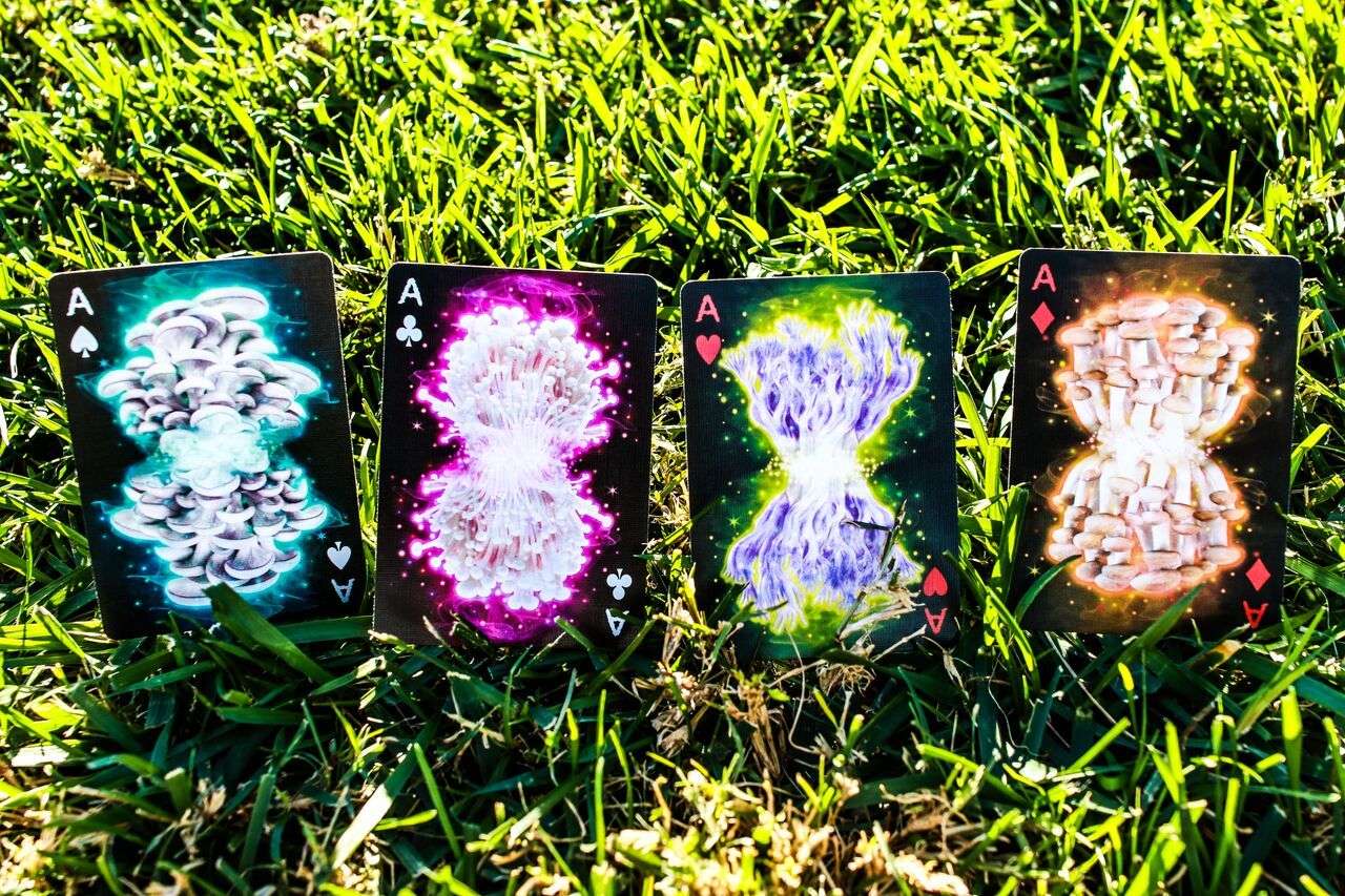 2971-fungi-mystic-mushrooms-mycological-playing-cards-uspcc-1.jpg