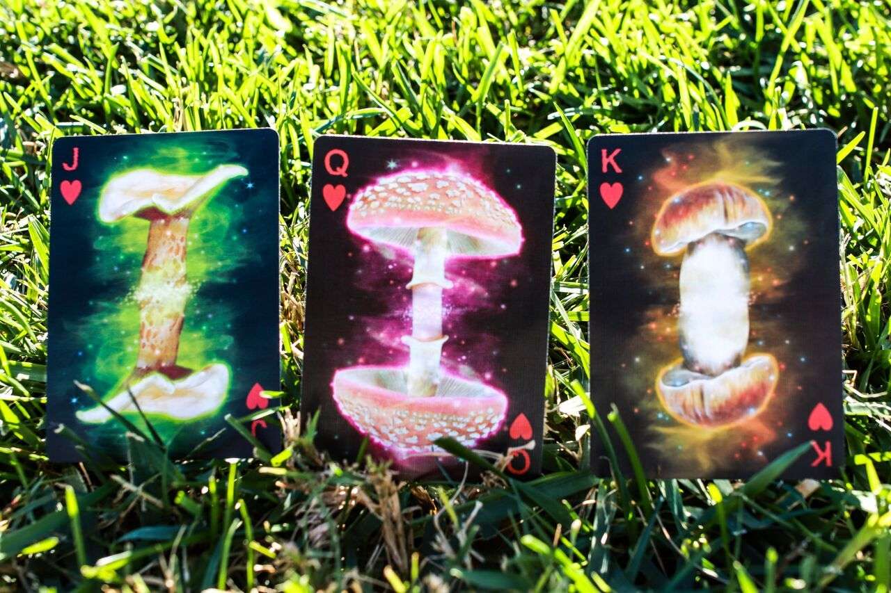 2971-fungi-mystic-mushrooms-mycological-playing-cards-uspcc-1.jpg