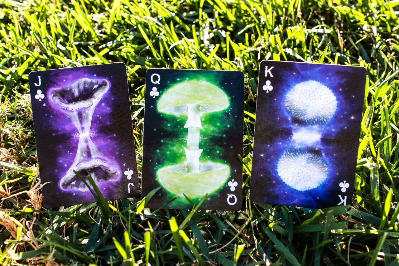 2971-fungi-mystic-mushrooms-mycological-playing-cards-uspcc-1.jpg