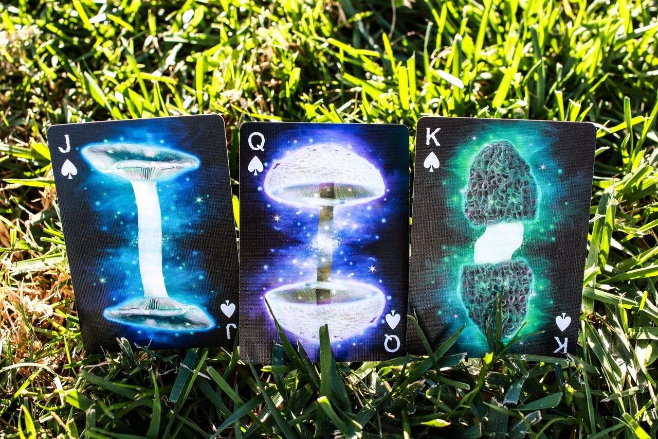 2971-fungi-mystic-mushrooms-mycological-playing-cards-uspcc-1.jpg