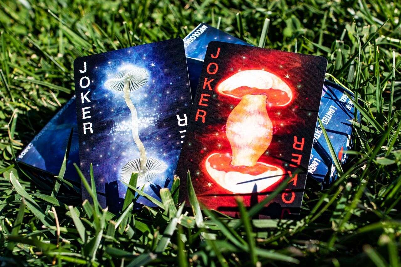 2971-fungi-mystic-mushrooms-mycological-playing-cards-uspcc-1.jpg