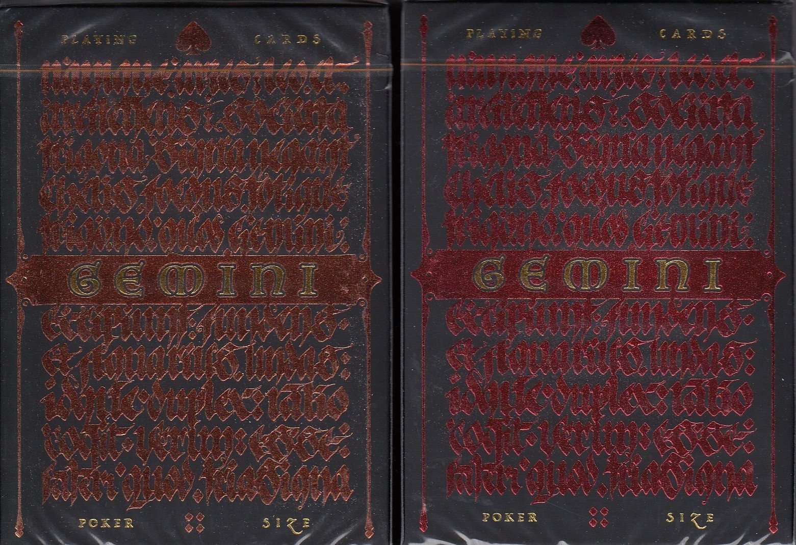 Gemini Playing Cards EPCC 1 3017-gemini-playing-cards-epcc-1.jpg