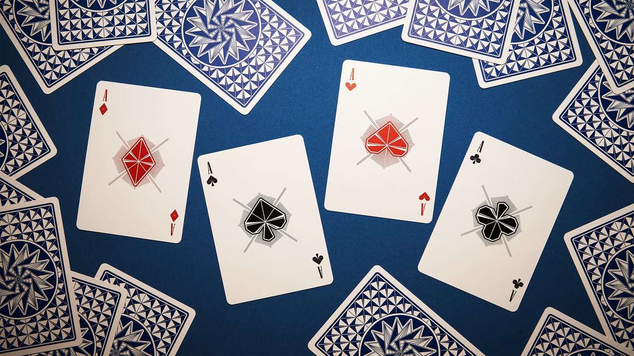 3076-glider-back-marked-bicycle-playing-cards-1.jpg