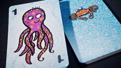 3088-go-fish-card-game-deck-big-box-size-5-x-3–1.jpg