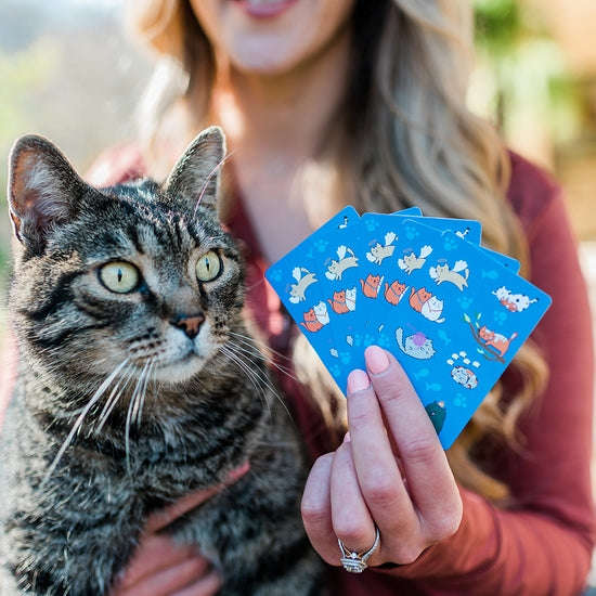 3133-good-kitty-bad-kitty-plastic-playing-cards-2-deck-set-1.jpg