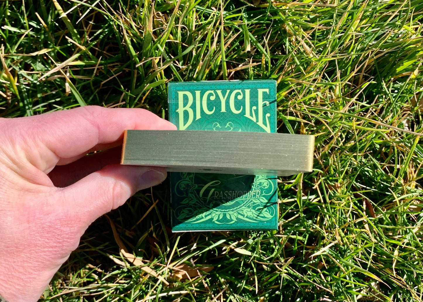 3176-grasshopper-gilded-bicycle-playing-cards-1.jpg