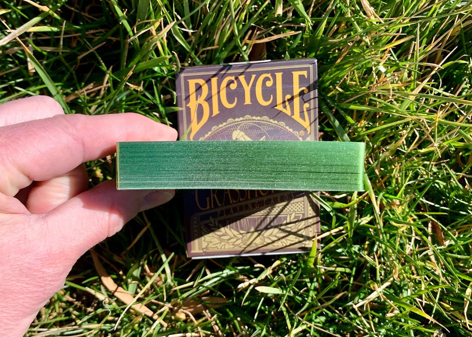 3176-grasshopper-gilded-bicycle-playing-cards-1.jpg