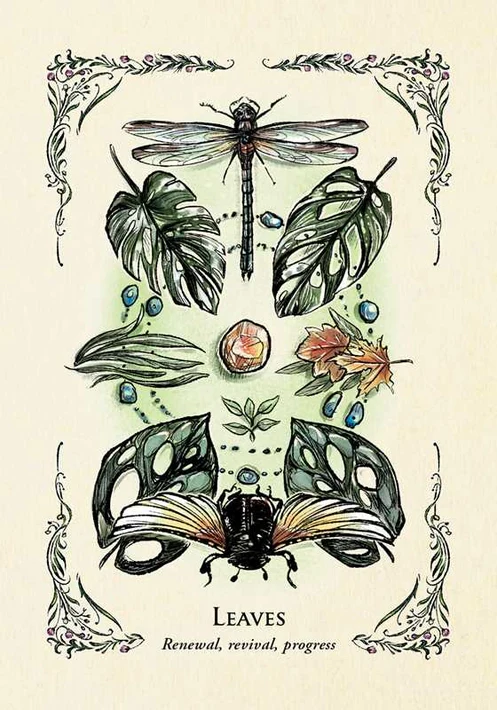 3203-green-witch-s-oracle-deck-by-arin-murphy-hiscock-1.webp