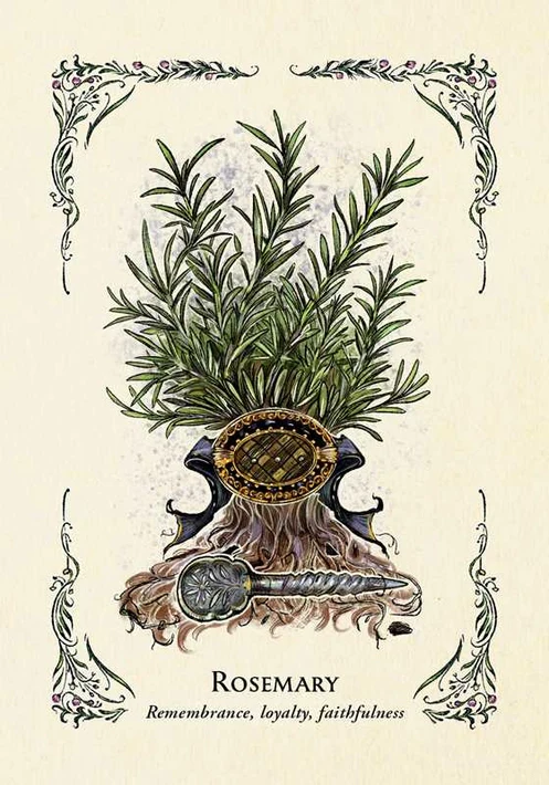 3203-green-witch-s-oracle-deck-by-arin-murphy-hiscock-1.webp