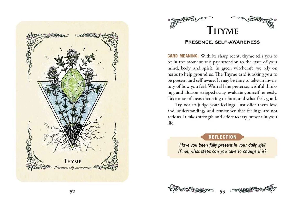 3203-green-witch-s-oracle-deck-by-arin-murphy-hiscock-1.webp