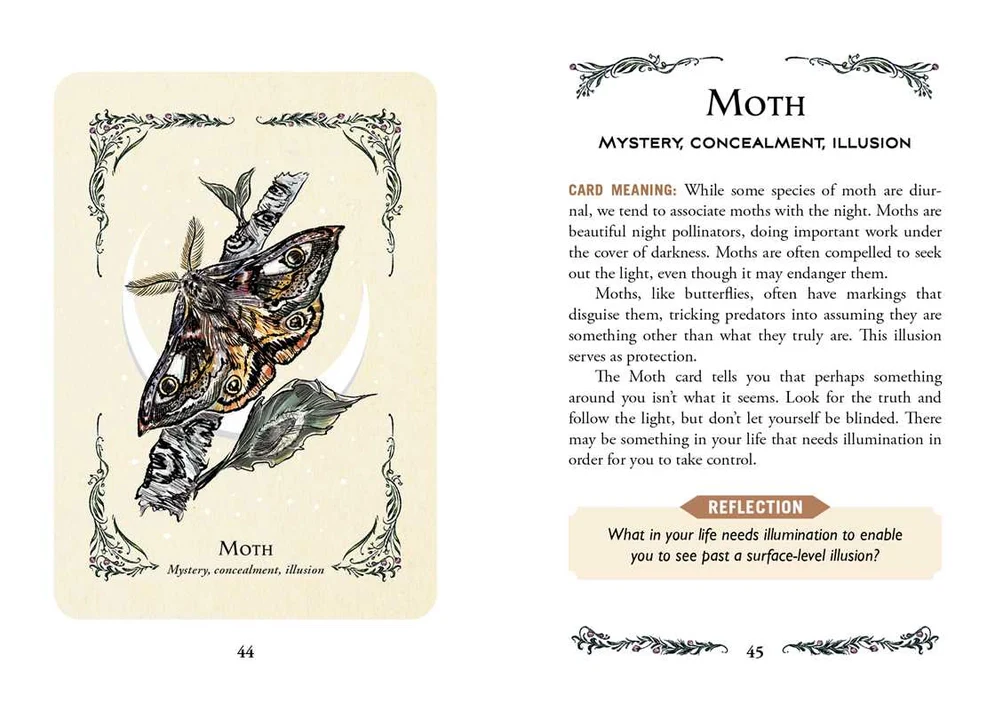 3203-green-witch-s-oracle-deck-by-arin-murphy-hiscock-1.webp