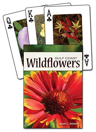 3245-gulf-coast-wildflowers-playing-cards-1.jpg